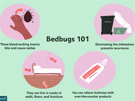 How To Get Rid Of Bed Bug Bites Quick - PestPhobia