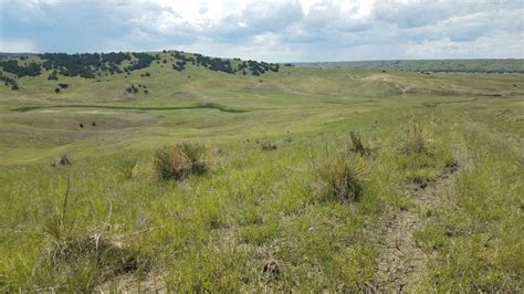 Prairie Dog Hunts | Spotted Bear Creek Ranch