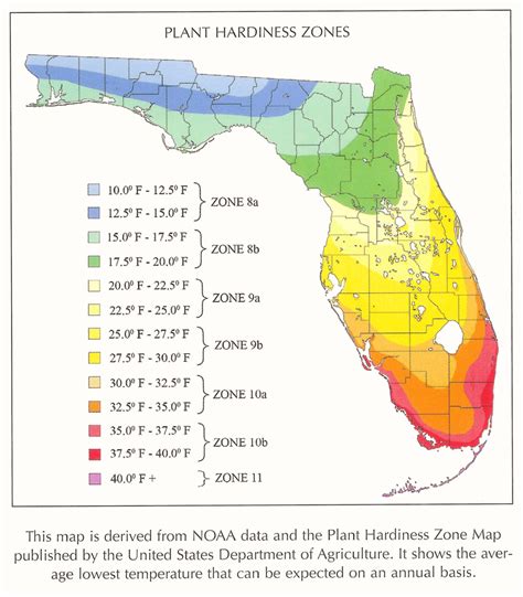 What Are The Growing Zones In Florida - Beautiful Insanity