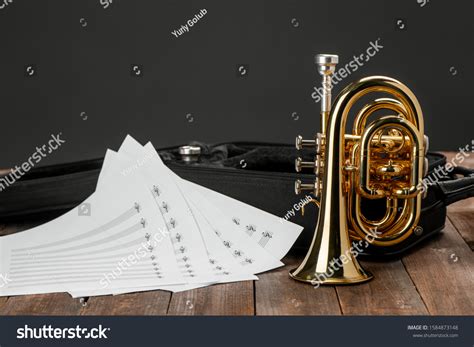 575 Trumpet case Images, Stock Photos & Vectors | Shutterstock