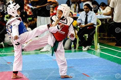 Taekwondo Tournament editorial stock image. Image of kids - 34785839