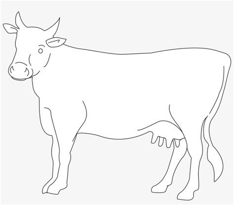 White Cow Png Photo - Cow Drawing Side View PNG Image | Transparent PNG ...