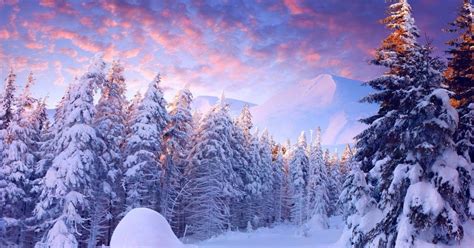 245 Winter Laptop Wallpaper Hd For FREE - MyWeb