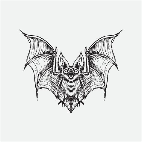 Bat drawing vector illustration, 5893867 Vector Art at Vecteezy