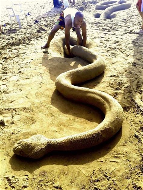 Morning Random Picture Time 33 Pics | World's largest snake, World ...