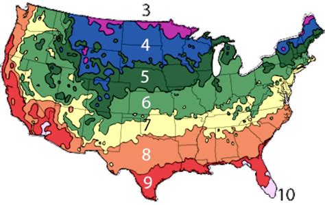 Find your USDA Hardiness Zone w/ ZIP Code | Cold hardy palm trees ...