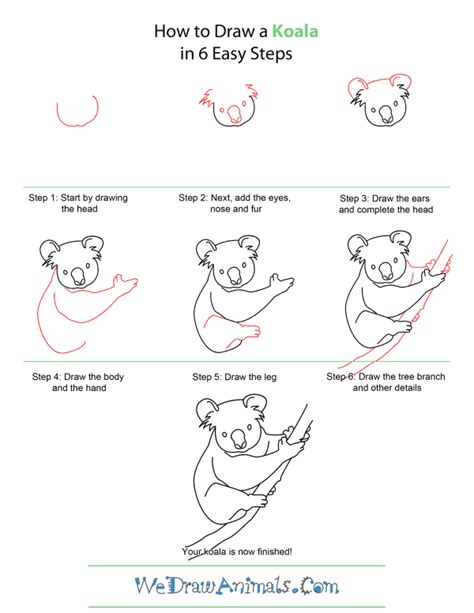 Koala Bear Drawing Step By Step