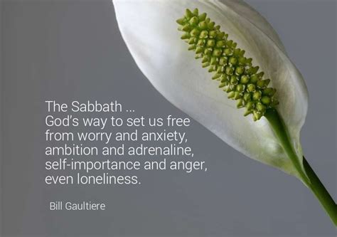 35 Rest Quotes for Sabbath Day Meditation - LetterPile