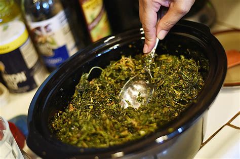 How To Make Cannabis Oil In Your Slow Cooker