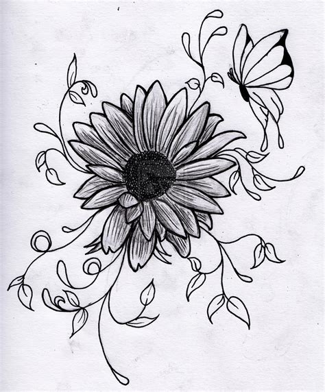 Drawing Flowers