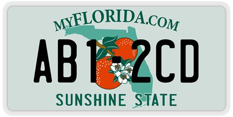 Florida License Plates 2024 - Staci Adelind