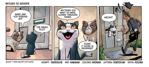 Grumpy Cat Comic Strips | Dynamite