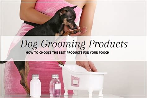 Choosing Dog Grooming Products | Pooch Dog Spa News