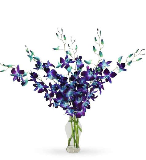 Blue Orchids Bouquet | Avas Flowers