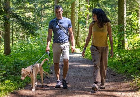 24Petwatch: Discover the best dog-friendly hiking trails in US and Canada