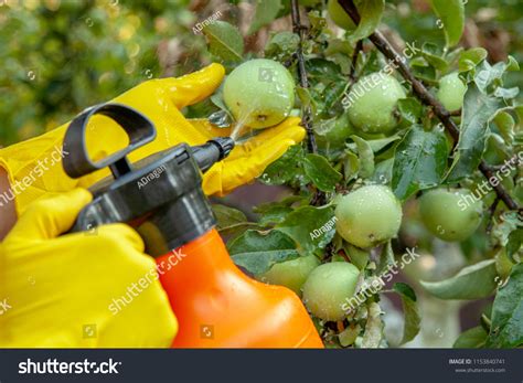 5,777 Pesticide fruit trees Images, Stock Photos & Vectors | Shutterstock