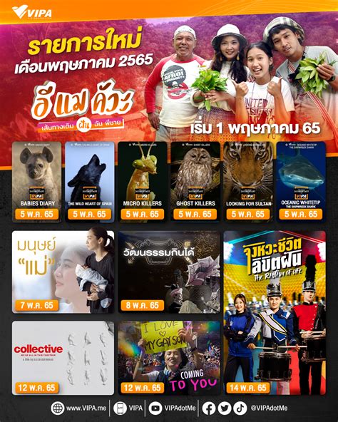 Thai PBS - 🎬 #VIPA จัดเต็มต้อนรับเดือน พ.ค....