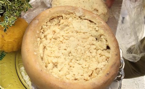 Casu Marzu – The World’s Most Dangerous and Weird Cheese - Malone Post