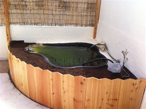 Indoor Turtle Habitat … | Turtle habitat, Turtle tank, Turtle pond