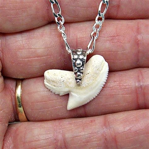 TIGER SHARK Tooth Necklace Sterling Silver Figaro 080 Chain | Etsy