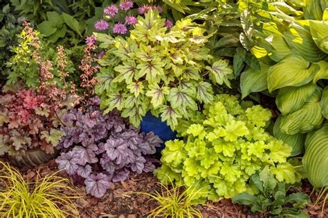 17 Best Outdoor Foliage Plants to Grow | Garden Design