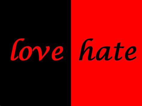 Love Vs Hate Quotes. QuotesGram