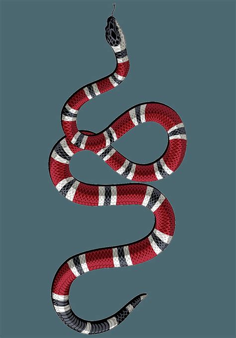 Gucci Snake Wallpaper For Pc - Infoupdate.org