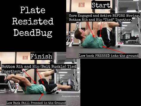 Plate Resisted Dead Bug for Better Core Control