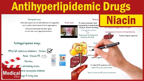 Pharmacology [CVS] 30- Antihyperlipidemic Drugs (2- Niacin Mechanism Of ...