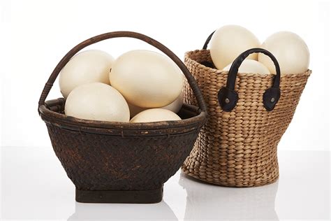 Collection of Ostrich Eggs - Shapiro Auctioneers