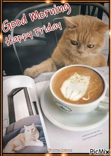 Cat Coffee Happy Friday Good Morning Gif Pictures, Photos, and Images ...