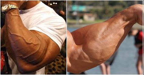 Build Massive Forearms With These Two Forearm Workout Routines ...