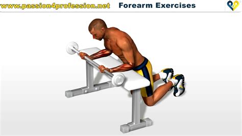 Forearm Exercises Wrist Curls YouTube - YouTube