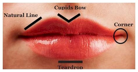 Cupid S Bow Lips Meaning | Lipstutorial.org