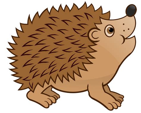 Transparent Background Hedgehog Clipart Clip Art Library | Images and ...