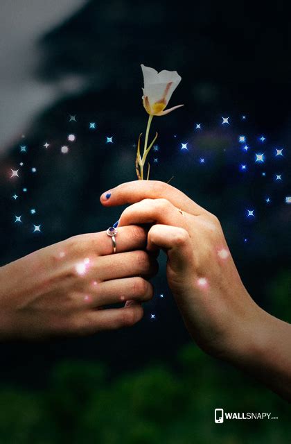 Two hands with rose lovers hd wallpaper