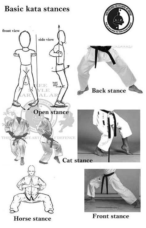 free" style martial art: Basic kata stances