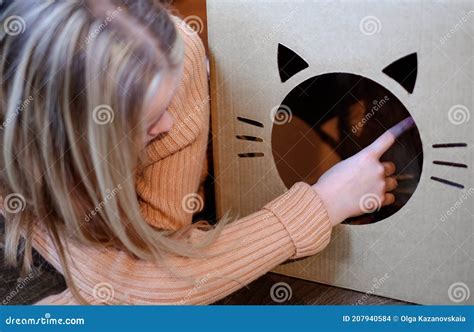 Girl and Cat Hidden in a Funny Box, Close-up Stock Photo - Image of ...