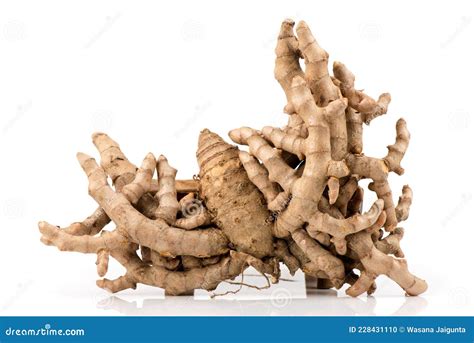 Curcuma Zedoaria, Rhizome Isolated on White Background Stock Photo ...