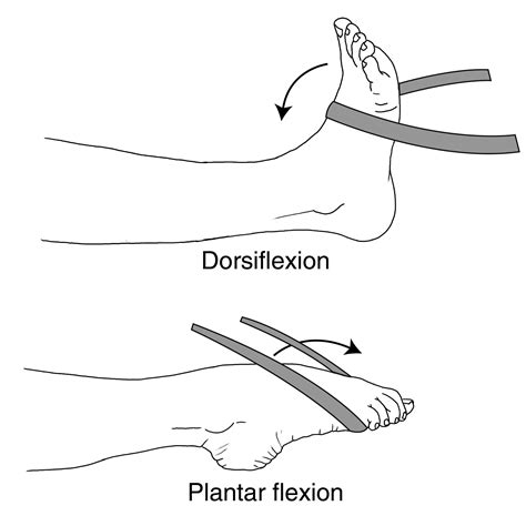 9 Best Foot And Ankle Rehabilitation Exercises Pain Dr MA