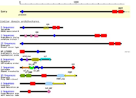 Protein Motifs