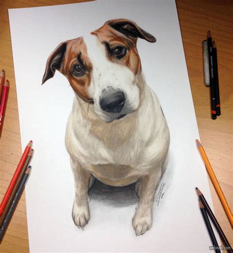 Dog Drawing Colored Pencil