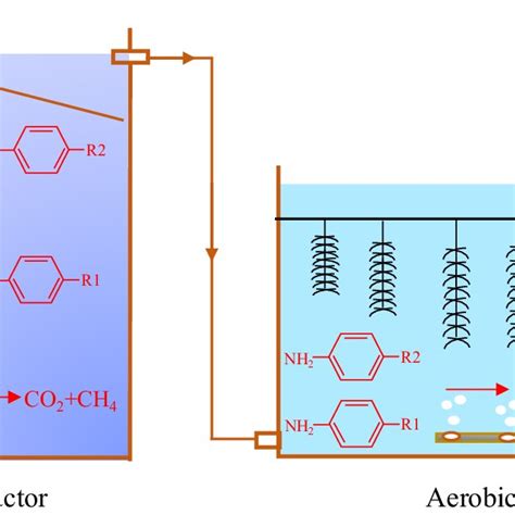 Schematic representation of the fate of azo dyes and aromatic amines in ...