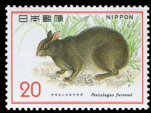 Stamp: Amami Rabbit (Pentalagus furnessi) (Japan(Nature Conservation ...