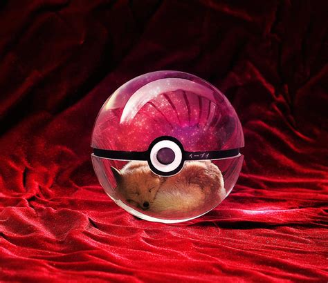 The Pokeball of the Real Eevee by wazzy88 on DeviantArt