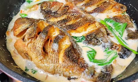 Ginataang Tilapia Recipe - Yummy Kitchen