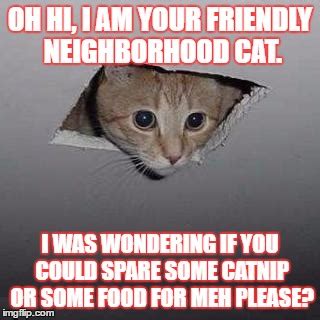 Ceiling Cat Meme Funny Image Photo Joke 01 | QuotesBae