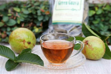 9 Surprising Guava Leaf Tea Benefits and Uses | Best Herbal Health