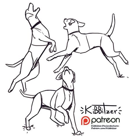 Dog reference sheet -PREVIEW- | Drawing reference poses, Dog anatomy ...