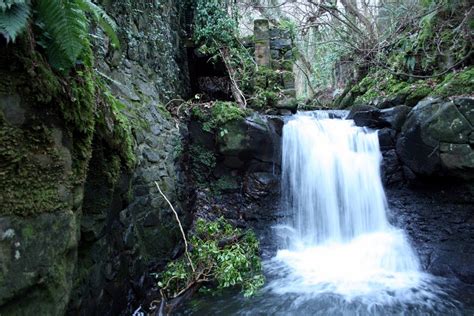 Waterfall Downhill Forest Northern Ireland photo & image | europe ...